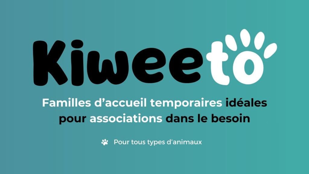 Kiweeto