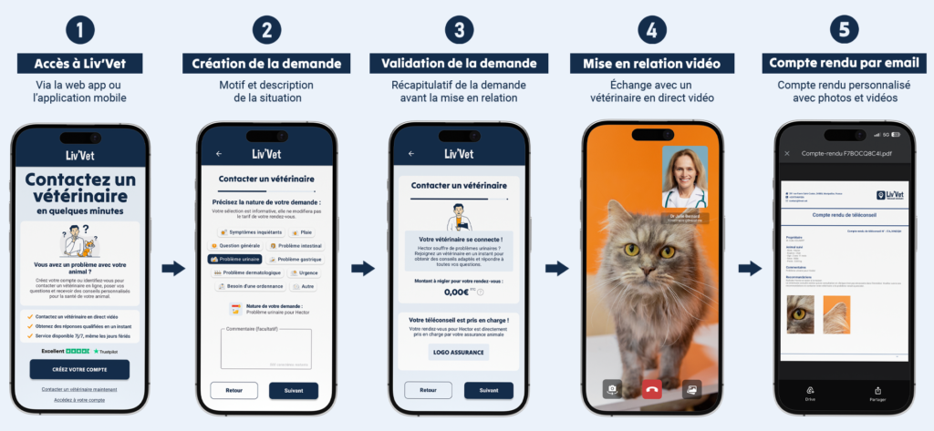 Téléconseil vétérinaire Liv'Vet